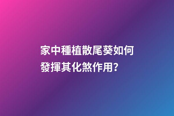 家中種植散尾葵如何發揮其化煞作用？