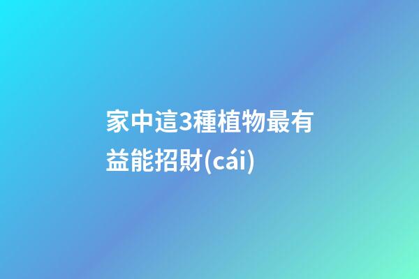 家中這3種植物最有益能招財(cái)