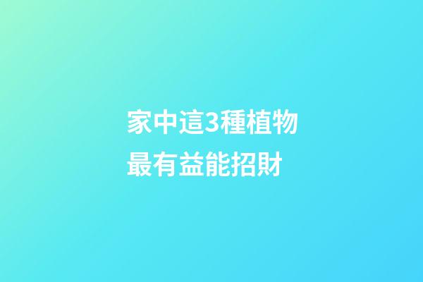 家中這3種植物最有益能招財