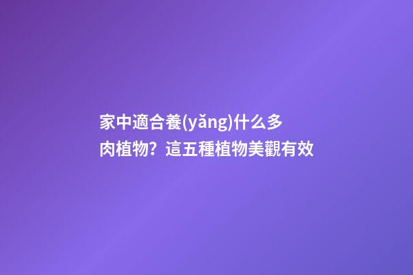 家中適合養(yǎng)什么多肉植物？這五種植物美觀有效