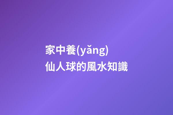 家中養(yǎng)仙人球的風水知識