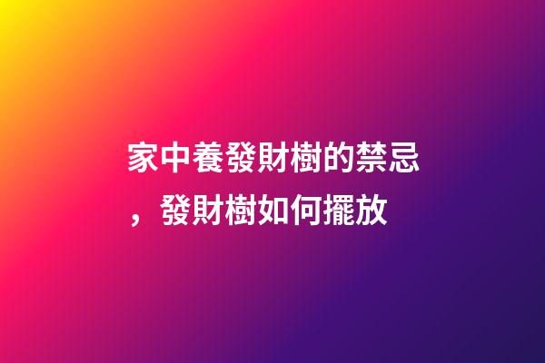 家中養發財樹的禁忌，發財樹如何擺放