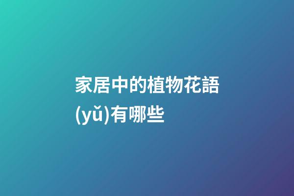 家居中的植物花語(yǔ)有哪些