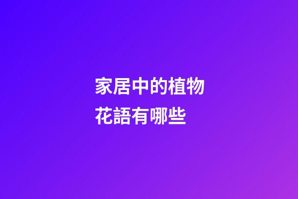 家居中的植物花語有哪些
