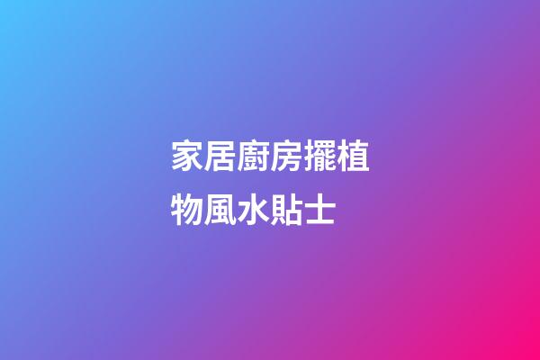 家居廚房擺植物風水貼士