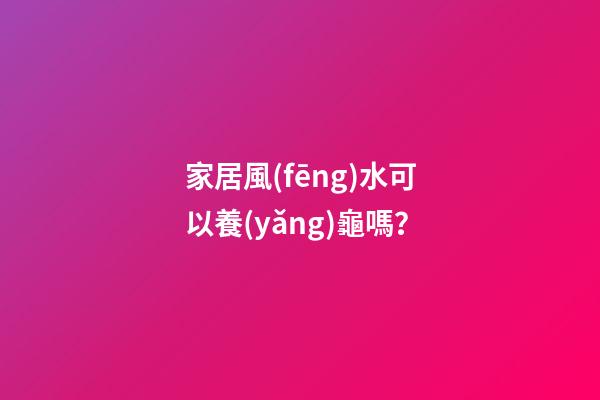家居風(fēng)水可以養(yǎng)龜嗎？