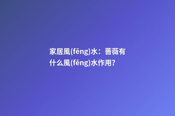 家居風(fēng)水：薔薇有什么風(fēng)水作用？
