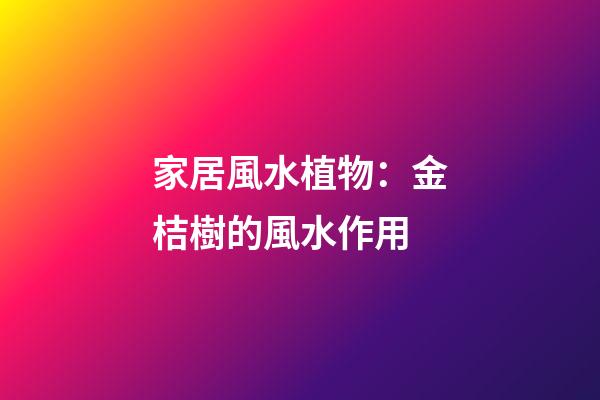 家居風水植物：金桔樹的風水作用