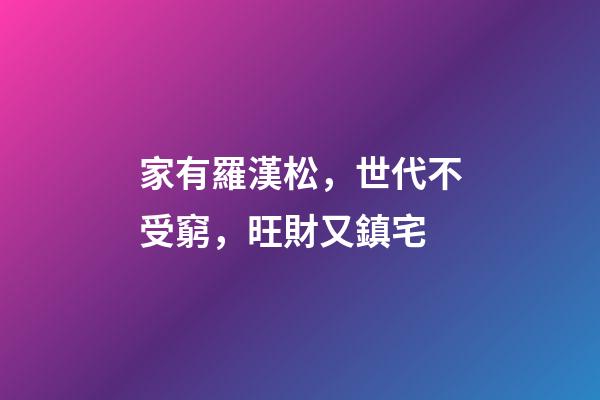家有羅漢松，世代不受窮，旺財又鎮宅