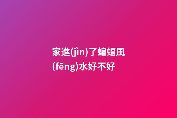 家進(jìn)了蝙蝠風(fēng)水好不好