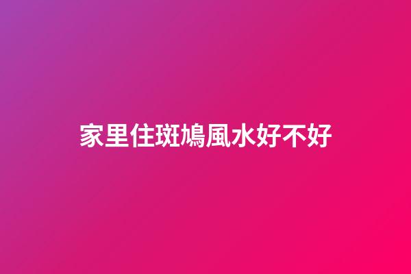 家里住斑鳩風水好不好