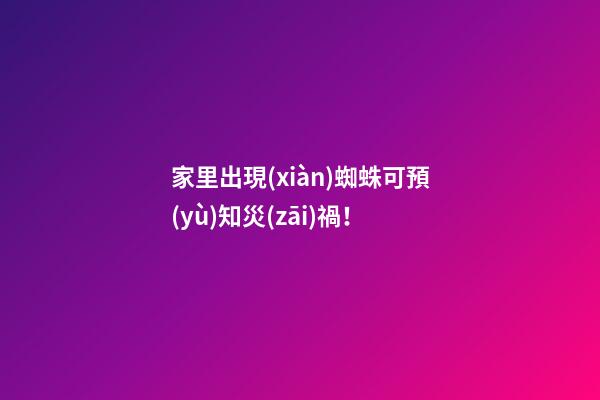 家里出現(xiàn)蜘蛛可預(yù)知災(zāi)禍！