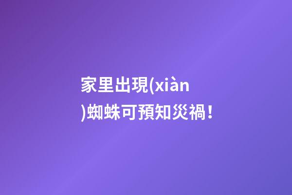 家里出現(xiàn)蜘蛛可預知災禍！