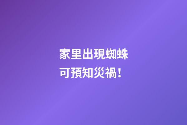 家里出現蜘蛛可預知災禍！