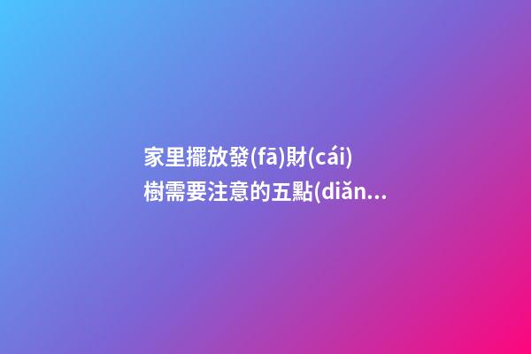 家里擺放發(fā)財(cái)樹需要注意的五點(diǎn)