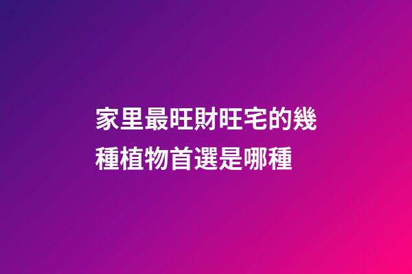 家里最旺財旺宅的幾種植物首選是哪種