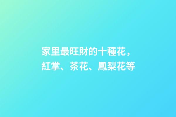 家里最旺財的十種花，紅掌、茶花、鳳梨花等