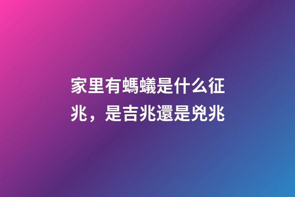 家里有螞蟻是什么征兆，是吉兆還是兇兆