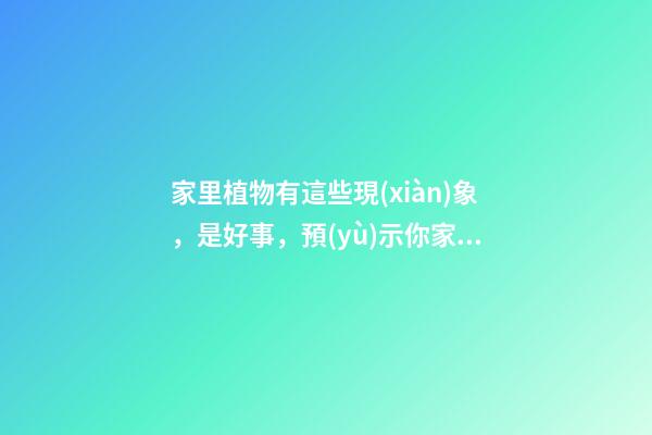 家里植物有這些現(xiàn)象，是好事，預(yù)示你家要發(fā)大財(cái)了！