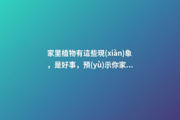 家里植物有這些現(xiàn)象，是好事，預(yù)示你家要發(fā)大財了！
