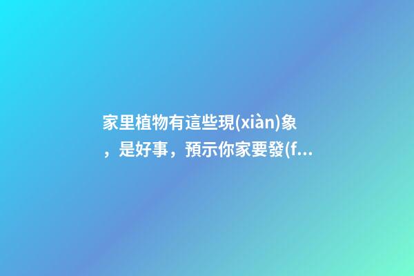 家里植物有這些現(xiàn)象，是好事，預示你家要發(fā)大財了！