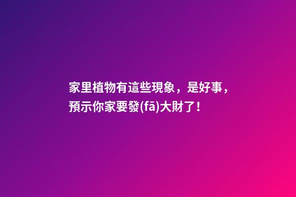 家里植物有這些現象，是好事，預示你家要發(fā)大財了！