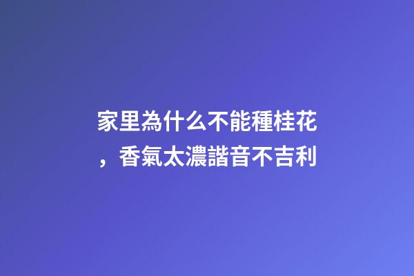 家里為什么不能種桂花，香氣太濃諧音不吉利