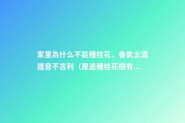 家里為什么不能種桂花，香氣太濃諧音不吉利（屋邊種桂花樹有不吉利的說法嗎）