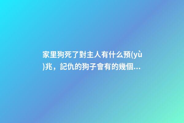 家里狗死了對主人有什么預(yù)兆，記仇的狗子會有的幾個表現(xiàn)-第1張-觀點(diǎn)-玄機(jī)派