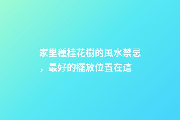 家里種桂花樹的風水禁忌，最好的擺放位置在這