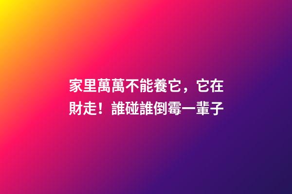 家里萬萬不能養它，它在財走！誰碰誰倒霉一輩子