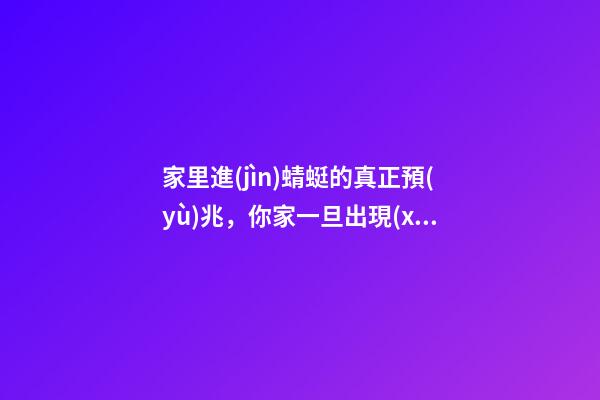 家里進(jìn)蜻蜓的真正預(yù)兆，你家一旦出現(xiàn)這3種現(xiàn)象-第1張-觀點(diǎn)-玄機(jī)派