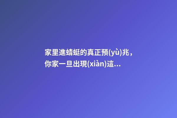 家里進蜻蜓的真正預(yù)兆，你家一旦出現(xiàn)這3種現(xiàn)象-第1張-觀點-玄機派