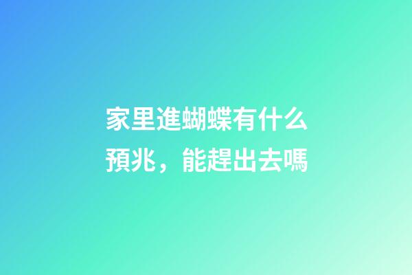 家里進蝴蝶有什么預兆，能趕出去嗎