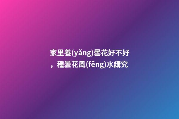 家里養(yǎng)曇花好不好，種曇花風(fēng)水講究