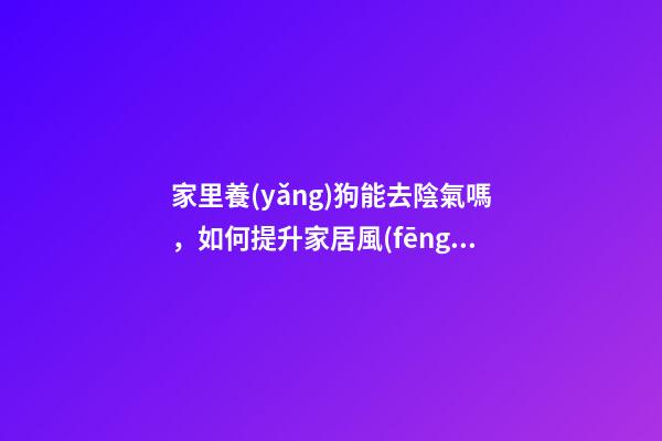 家里養(yǎng)狗能去陰氣嗎，如何提升家居風(fēng)水和運(yùn)勢