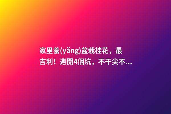 家里養(yǎng)盆栽桂花，最吉利！避開4個坑，不干尖不黃葉，四季飄香