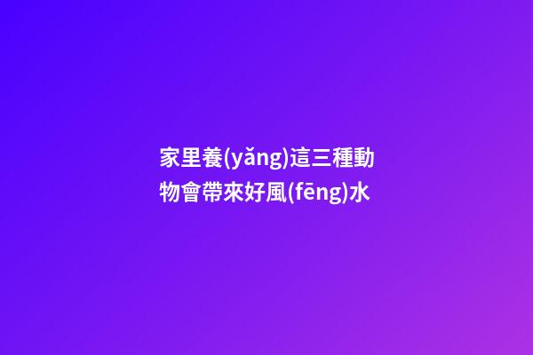 家里養(yǎng)這三種動物會帶來好風(fēng)水