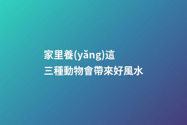 家里養(yǎng)這三種動物會帶來好風水