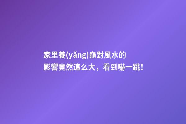 家里養(yǎng)龜對風水的影響竟然這么大，看到嚇一跳！