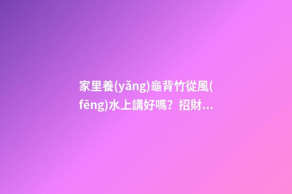 家里養(yǎng)龜背竹從風(fēng)水上講好嗎？招財(cái)活力