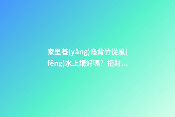 家里養(yǎng)龜背竹從風(fēng)水上講好嗎？招財活力