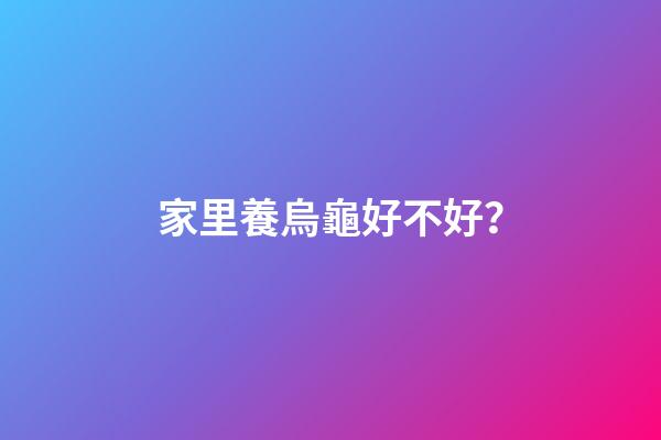 家里養烏龜好不好？