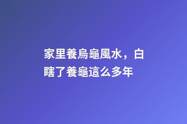 家里養烏龜風水，白瞎了養龜這么多年-第1張-觀點-玄機派