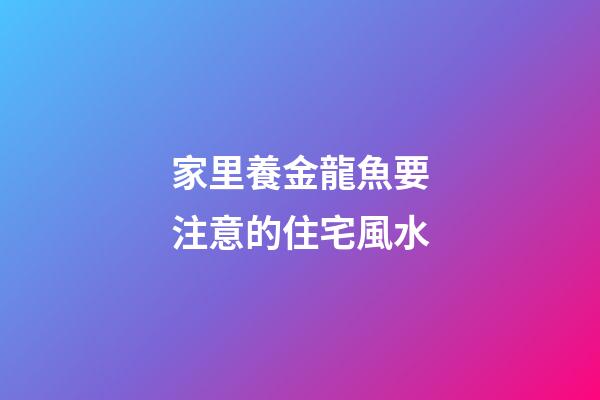 家里養金龍魚要注意的住宅風水