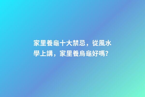 家里養龜十大禁忌，從風水學上講，家里養烏龜好嗎？
