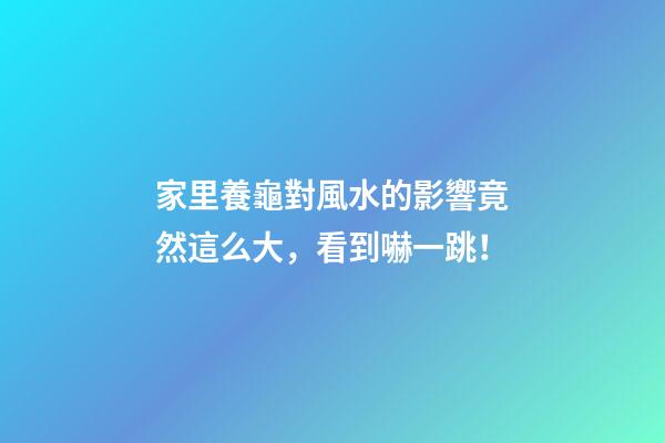 家里養龜對風水的影響竟然這么大，看到嚇一跳！