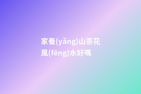 家養(yǎng)山茶花風(fēng)水好嗎