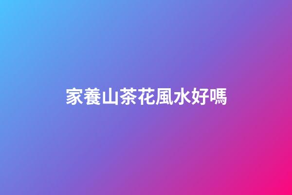 家養山茶花風水好嗎