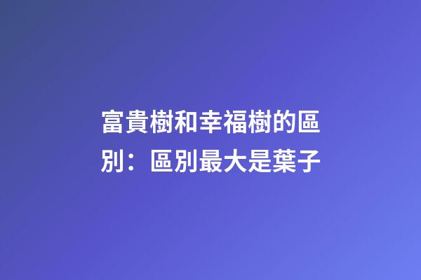 富貴樹和幸福樹的區別：區別最大是葉子